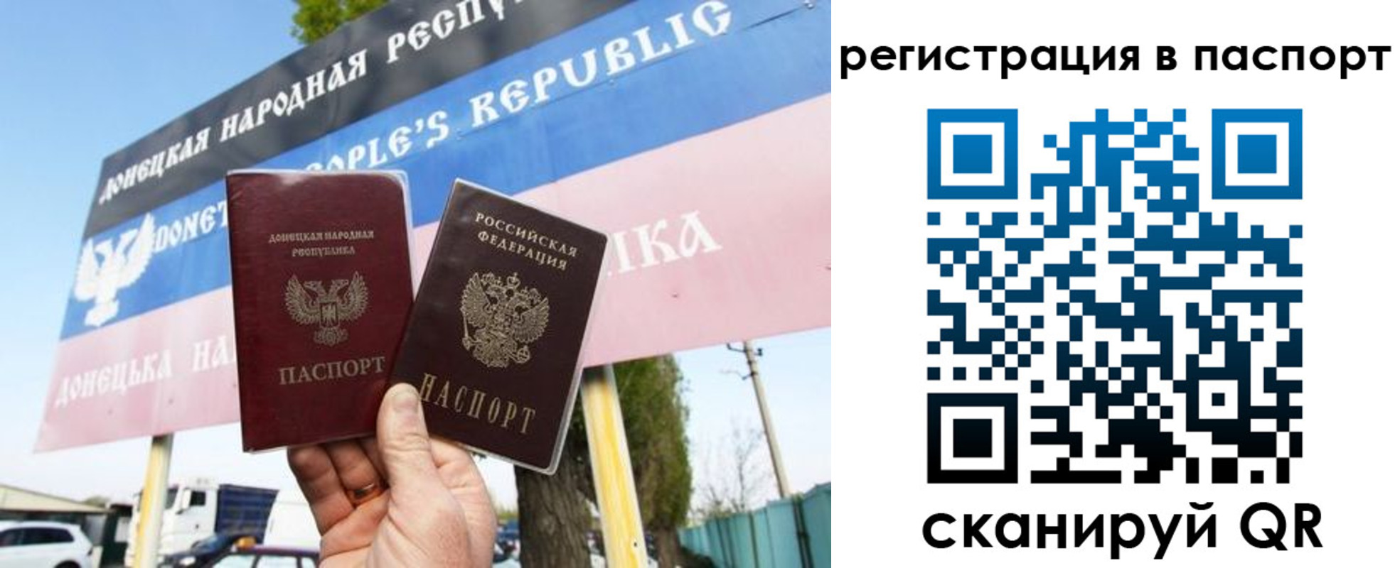 прописка поиск в Кохме